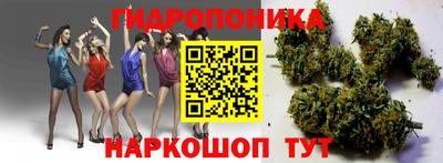 ешки Сланцы