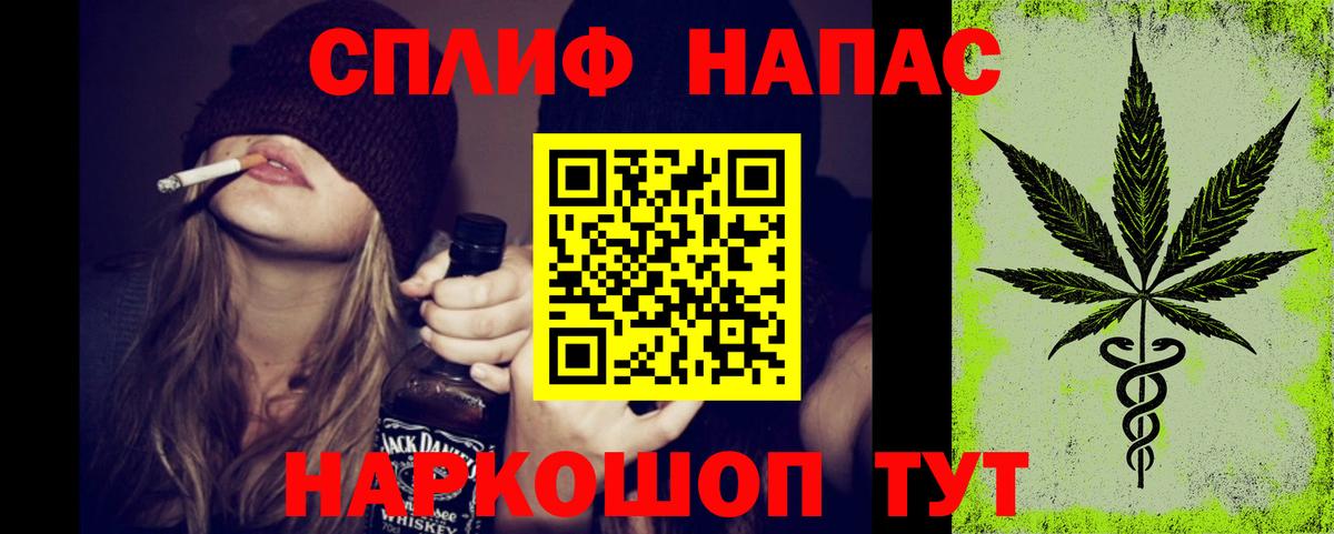 Бошки Шишки план Северск